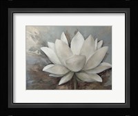 Magnolia Hope 1 Fine Art Print