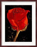 Golden Rose Fine Art Print