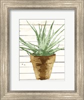 Wood Plant Pot Fine Art Print