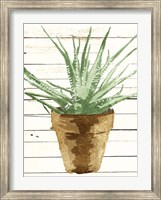 Wood Plant Pot Fine Art Print