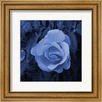 Blue Flower 2 Fine Art Print
