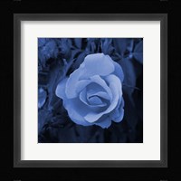 Blue Flower 2 Fine Art Print