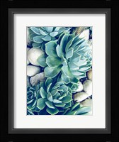 Succulents no words Fine Art Print