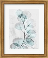 Eucalyptus Glow 3 Fine Art Print