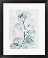 Eucalyptus Glow 3 Fine Art Print