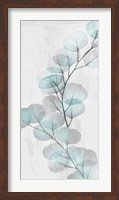 Eucalyptus Glow 2 Fine Art Print