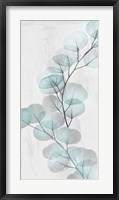 Eucalyptus Glow 2 Fine Art Print