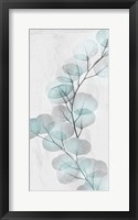 Eucalyptus Glow 2 Framed Print