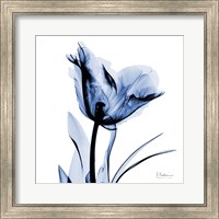 Indigo Softened Tulip Fine Art Print