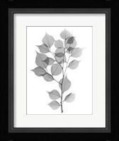 Myrtle Tree L182 Fine Art Print