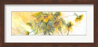 Sun Kissed Sunflowers Fine Art Print