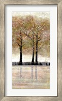 Serene Forest  3 Fine Art Print