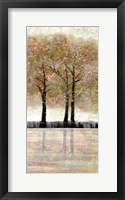 Serene Forest  3 Framed Print