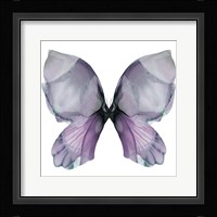Floral Butterfly 3 Fine Art Print