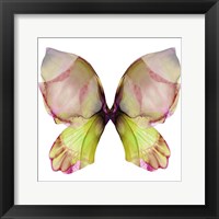 Floral Butterfly 2 Fine Art Print