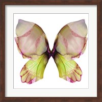 Floral Butterfly 2 Fine Art Print