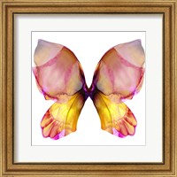 Floral Butterfly 4 Fine Art Print