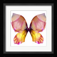 Floral Butterfly 4 Fine Art Print