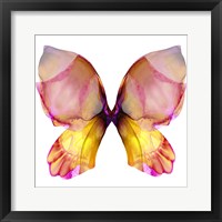 Floral Butterfly 4 Fine Art Print