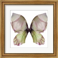 Floral Butterfly 1 Fine Art Print