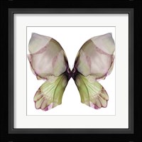 Floral Butterfly 1 Fine Art Print