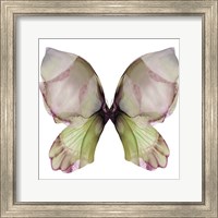 Floral Butterfly 1 Fine Art Print