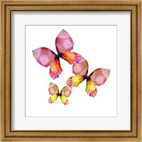 Floral Butterfly Trio Fine Art Print