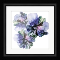 Vibrant Floral Trio Fine Art Print