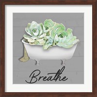 Breathe Succulent Fine Art Print