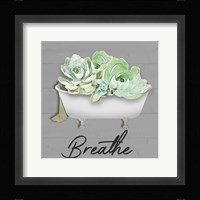Breathe Succulent Framed Print