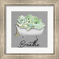Breathe Succulent Fine Art Print