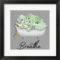Breathe Succulent Framed Print