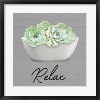 Relaxed Succulent Fine Art Print