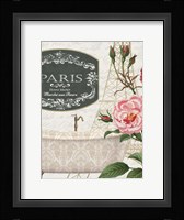 Salle De Bains 1 Framed Print