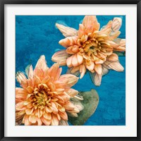 Orange Chrysanthemums Fine Art Print