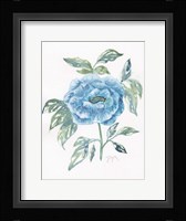 Floral Camilia Fine Art Print
