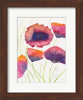 Poppies July Fine Art Print