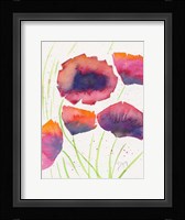 Poppies July Framed Print