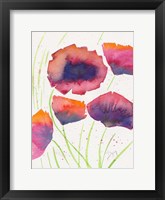 Poppies July Framed Print