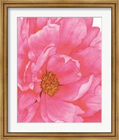 Pink Flower 2 Fine Art Print