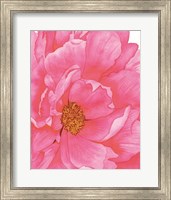 Pink Flower 2 Fine Art Print