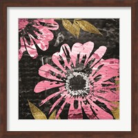Black Rose 1 Fine Art Print