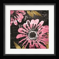 Black Rose 1 Fine Art Print