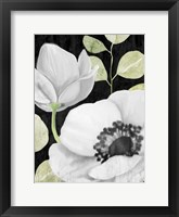 Anemone On Black 2 Framed Print