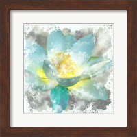 Teal Lotus 1 Fine Art Print