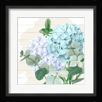Hydrangea 2 Framed Print