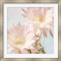 Cactus Bloom Fine Art Print