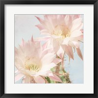 Cactus Bloom Fine Art Print