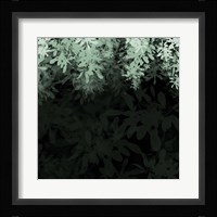 Dark Tropical I Fine Art Print