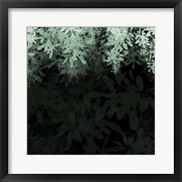 Dark Tropical I Framed Print